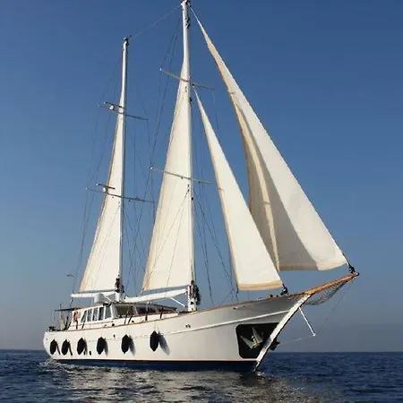 Odysseus A Cruises * 阿达玛斯